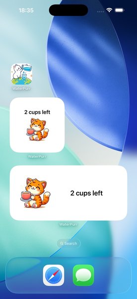 Home screen widgets